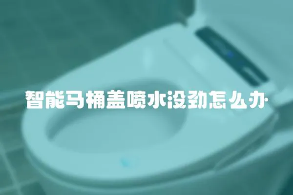 智能馬桶蓋噴水沒勁怎么辦