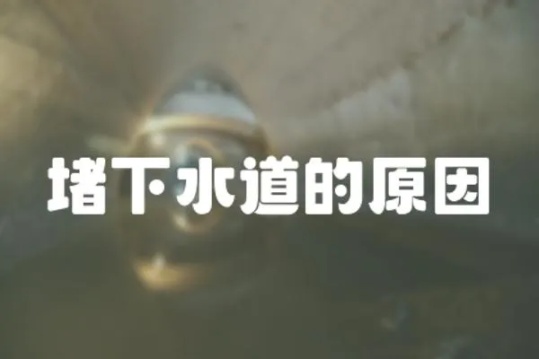 堵下水道的原因