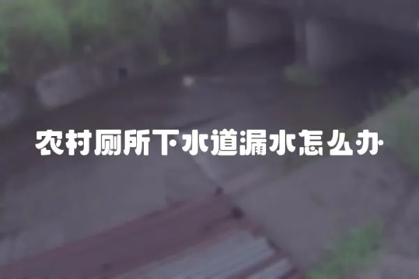 農村廁所下水道漏水怎么辦