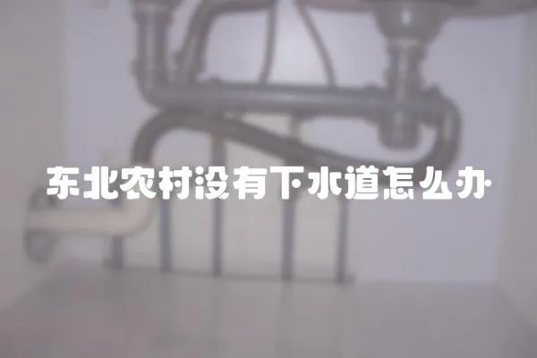 東北農(nóng)村沒有下水道怎么辦