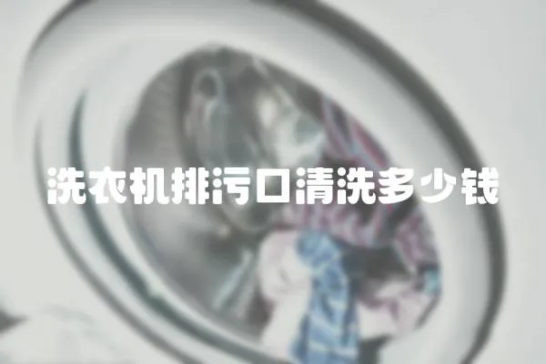 洗衣機排污口清洗多少錢