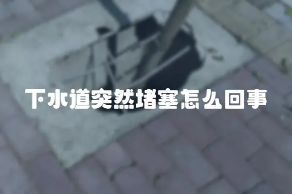下水道突然堵塞怎么回事