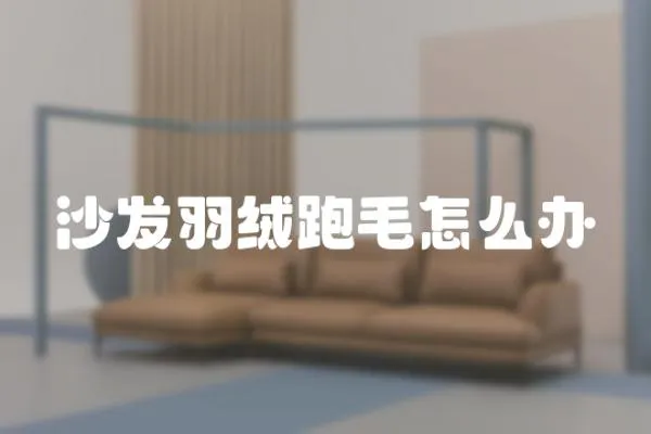 沙發羽絨跑毛怎么辦