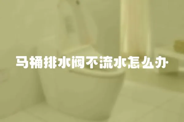 馬桶排水閥不流水怎么辦
