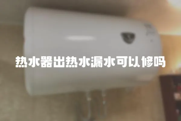 热水器出热水漏水可以修吗