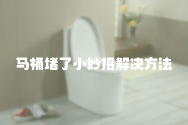 馬桶堵了小妙招解決方法