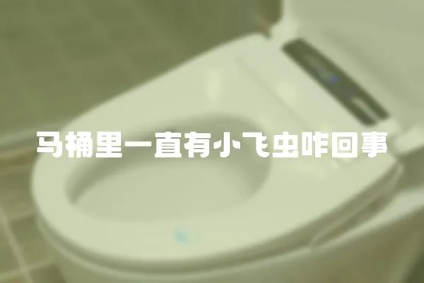馬桶里一直有小飛蟲咋回事