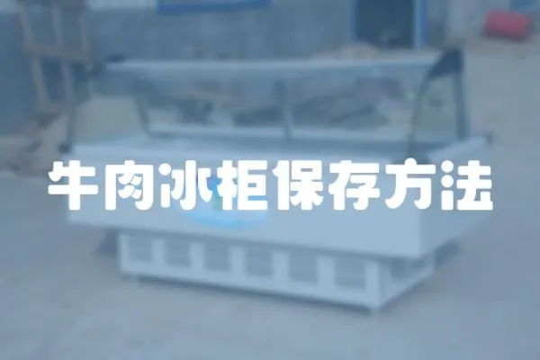 牛肉冰柜保存方法