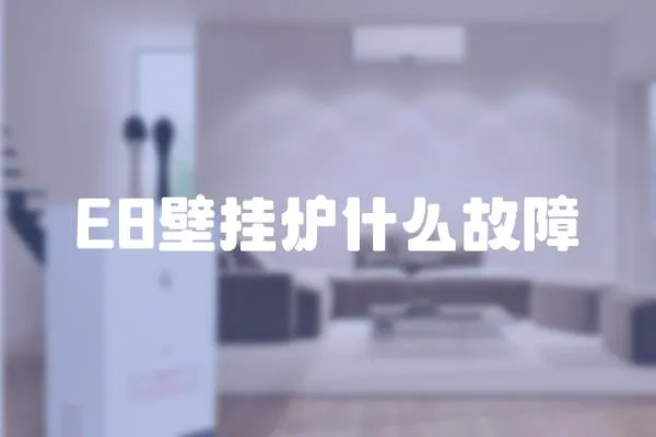 E8壁掛爐什么故障