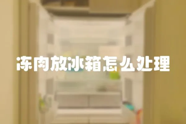 凍肉放冰箱怎么處理