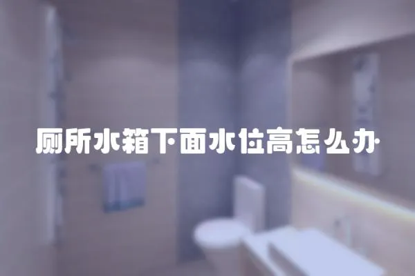 廁所水箱下面水位高怎么辦