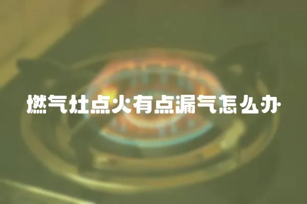 燃氣灶點火有點漏氣怎么辦