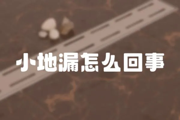 小地漏怎么回事