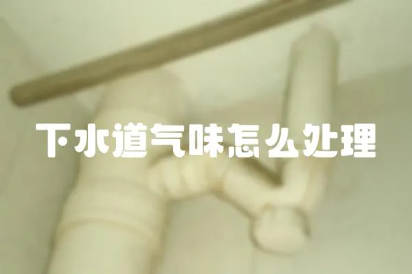 下水道氣味怎么處理