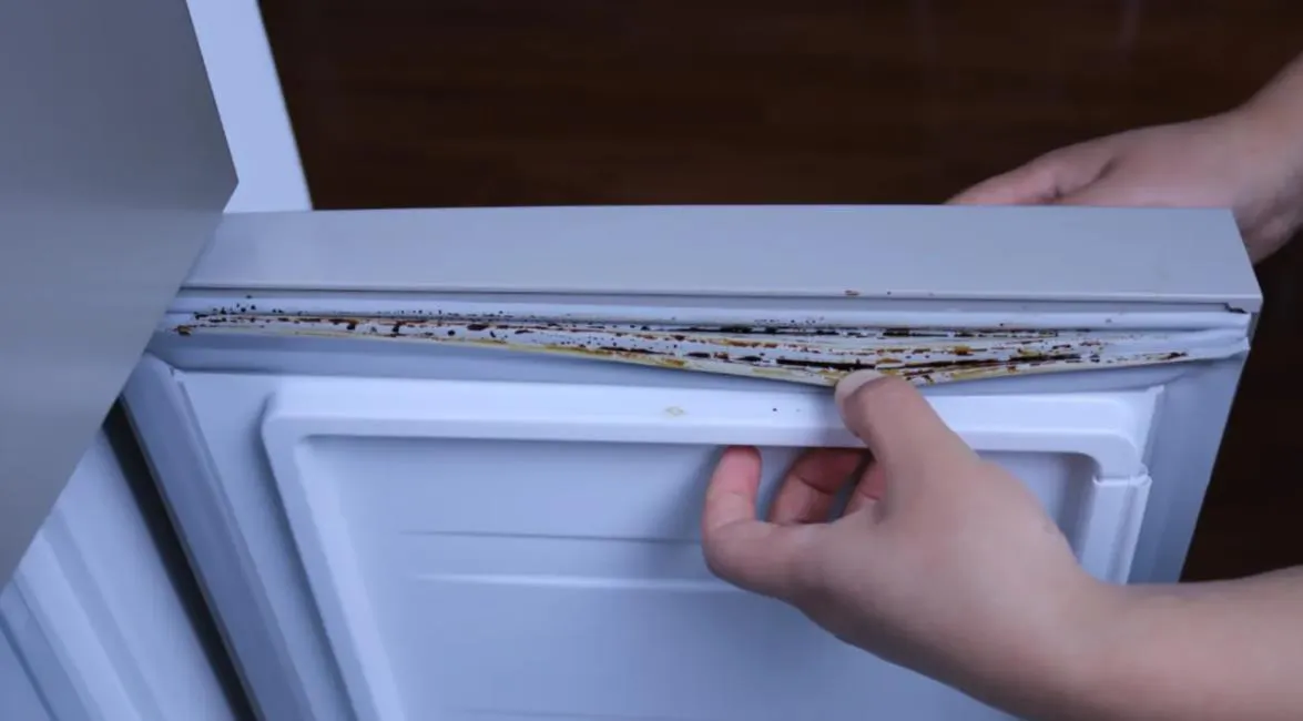 冰箱皮帶發霉怎么辦