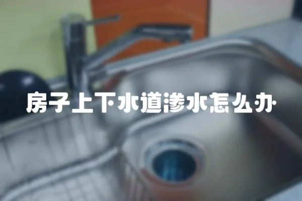房子上下水道滲水怎么辦
