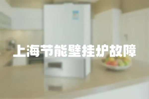 上海節能壁掛爐故障