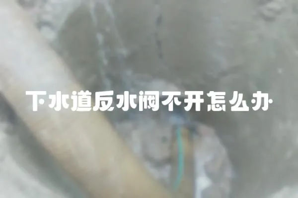 下水道反水閥不開怎么辦