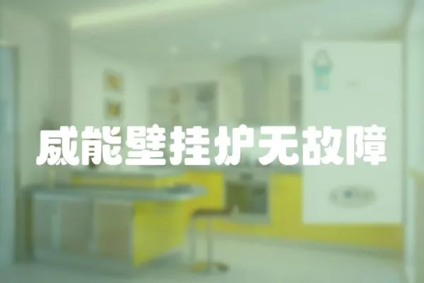 威能壁掛爐無(wú)故障