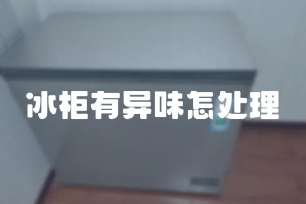 冰柜有異味怎處理