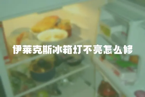 伊萊克斯冰箱燈不亮怎么修