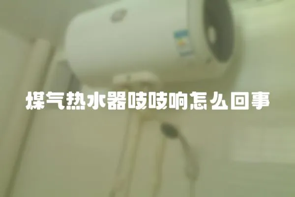 煤氣熱水器吱吱響怎么回事