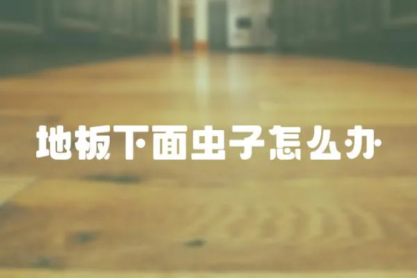 地板下面蟲子怎么辦