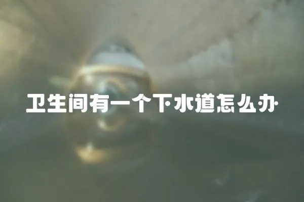 衛生間有一個下水道怎么辦