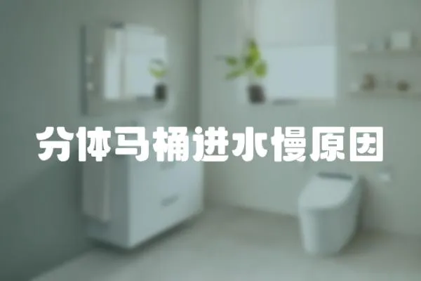 分體馬桶進水慢原因