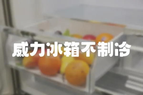 威力冰箱不制冷