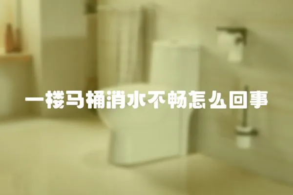 一樓馬桶消水不暢怎么回事