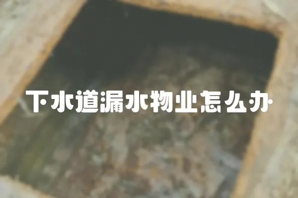 下水道漏水物業怎么辦
