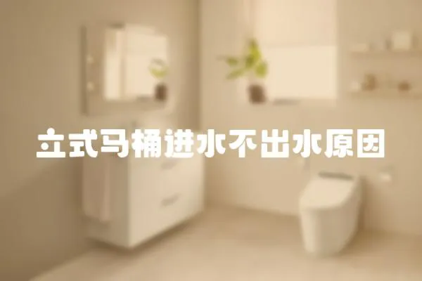 立式馬桶進水不出水原因