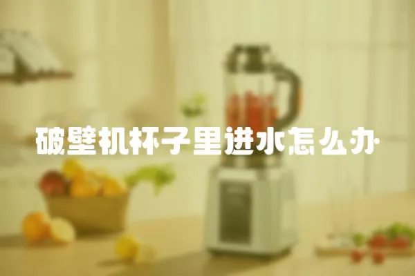 破壁機杯子里進水怎么辦