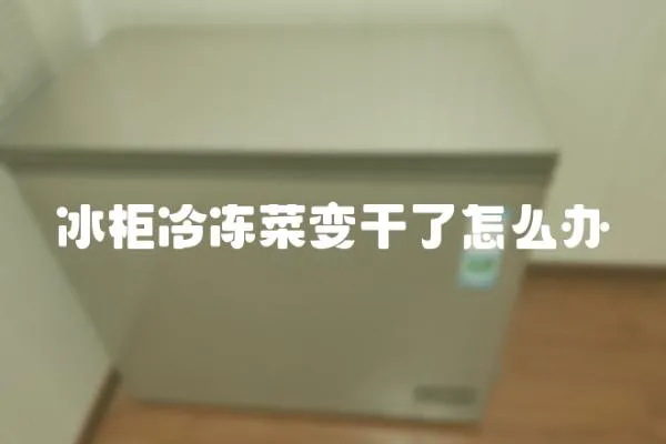 冰柜冷凍菜變干了怎么辦