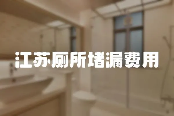 江蘇廁所堵漏費用