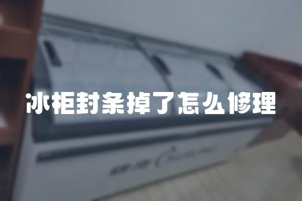 冰柜封條掉了怎么修理