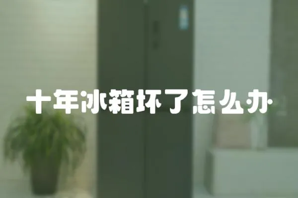十年冰箱壞了怎么辦
