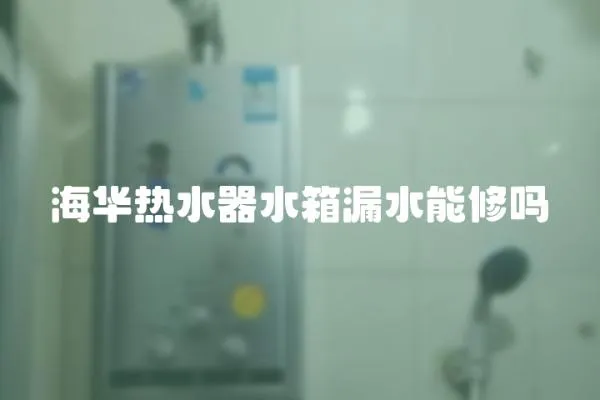 海華熱水器水箱漏水能修嗎