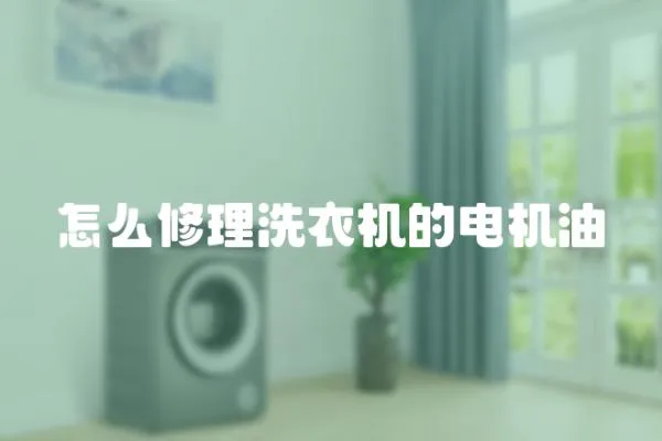 怎么修理洗衣機的電機油