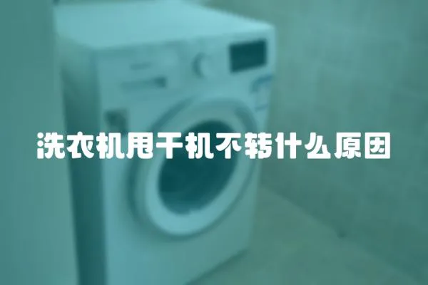 洗衣機甩干機不轉什么原因