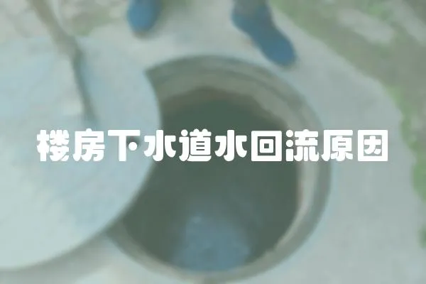 樓房下水道水回流原因