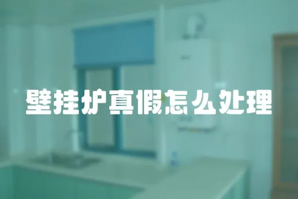 壁掛爐真假怎么處理