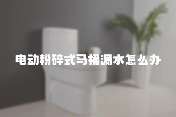 電動粉碎式馬桶漏水怎么辦