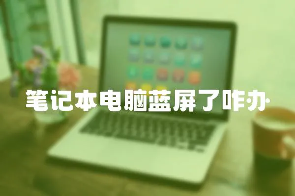 筆記本電腦藍(lán)屏了咋辦