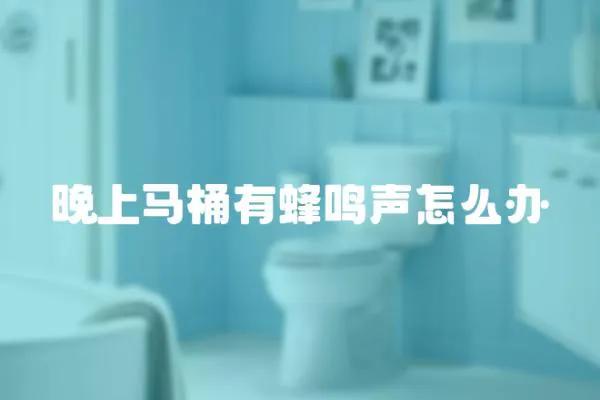 晚上馬桶有蜂鳴聲怎么辦