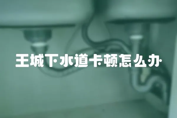 王城下水道卡頓怎么辦