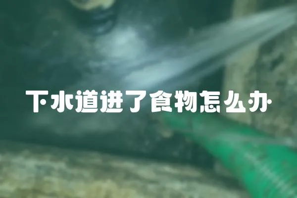 下水道進了食物怎么辦