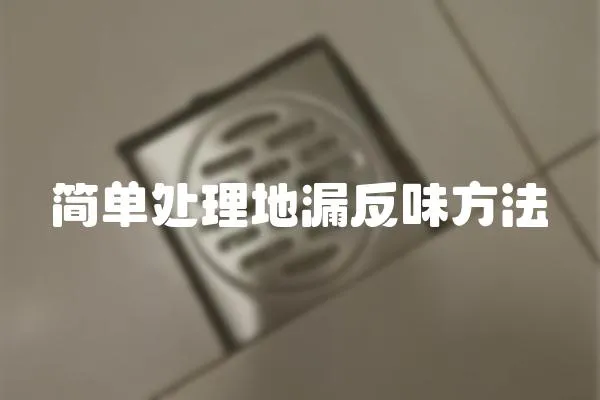 簡單處理地漏反味方法
