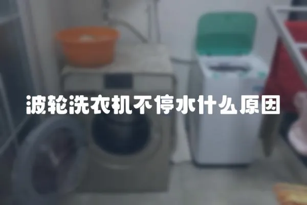 波輪洗衣機不停水什么原因